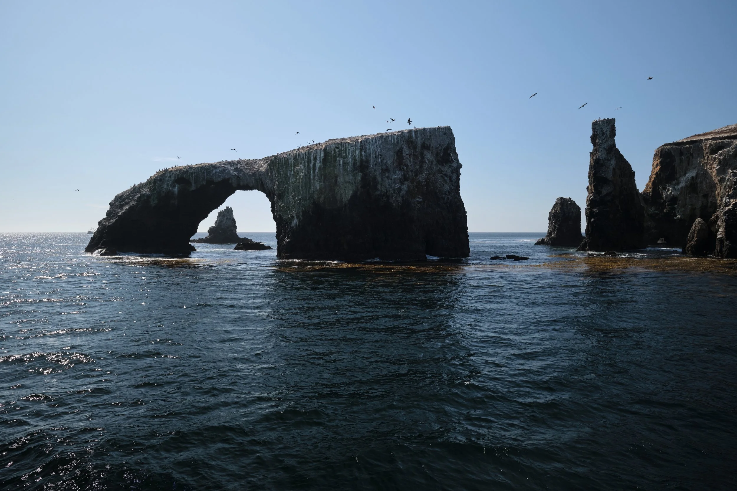 DSCF5959.jpg