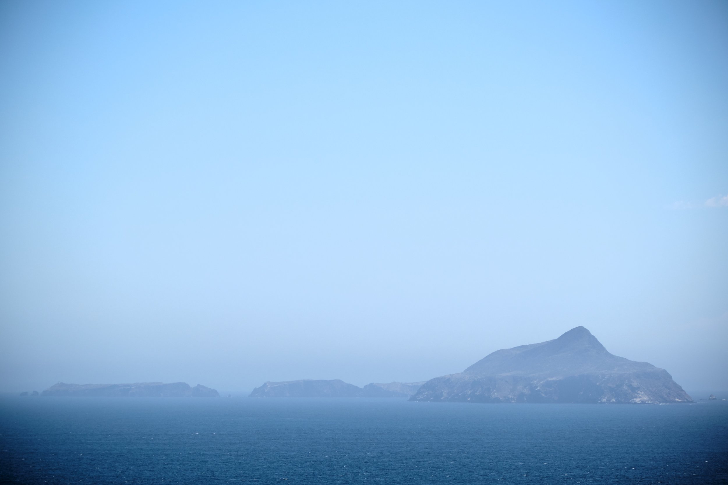 DSCF6091.jpg