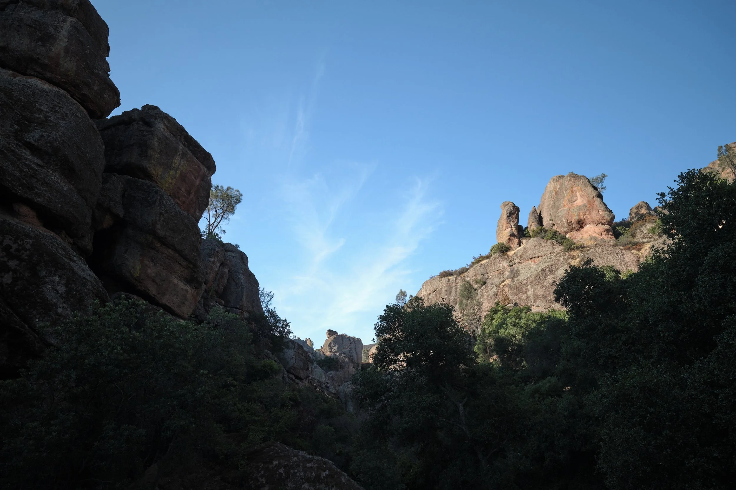 DSCF5567.jpg