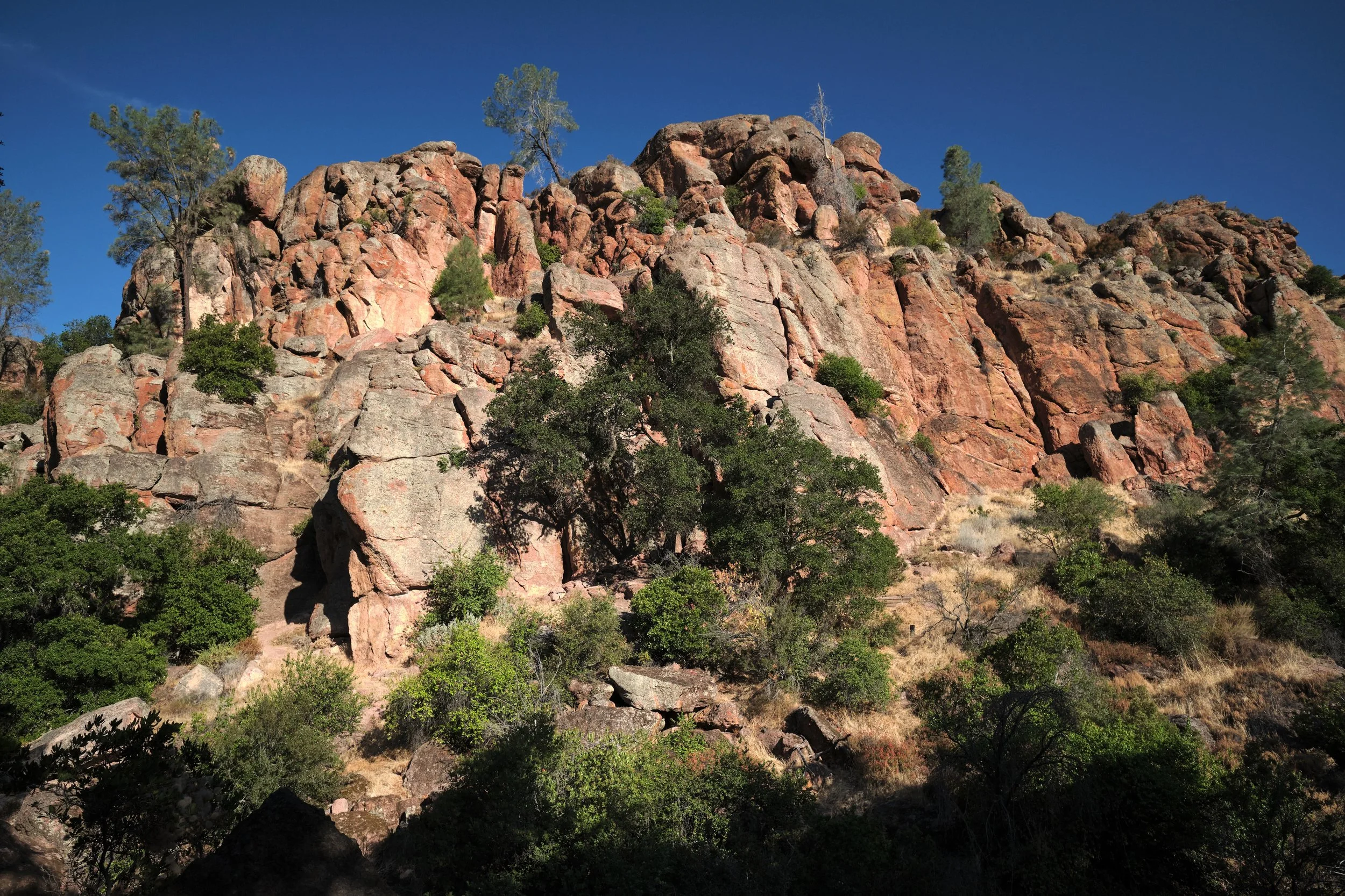 DSCF5565.jpg