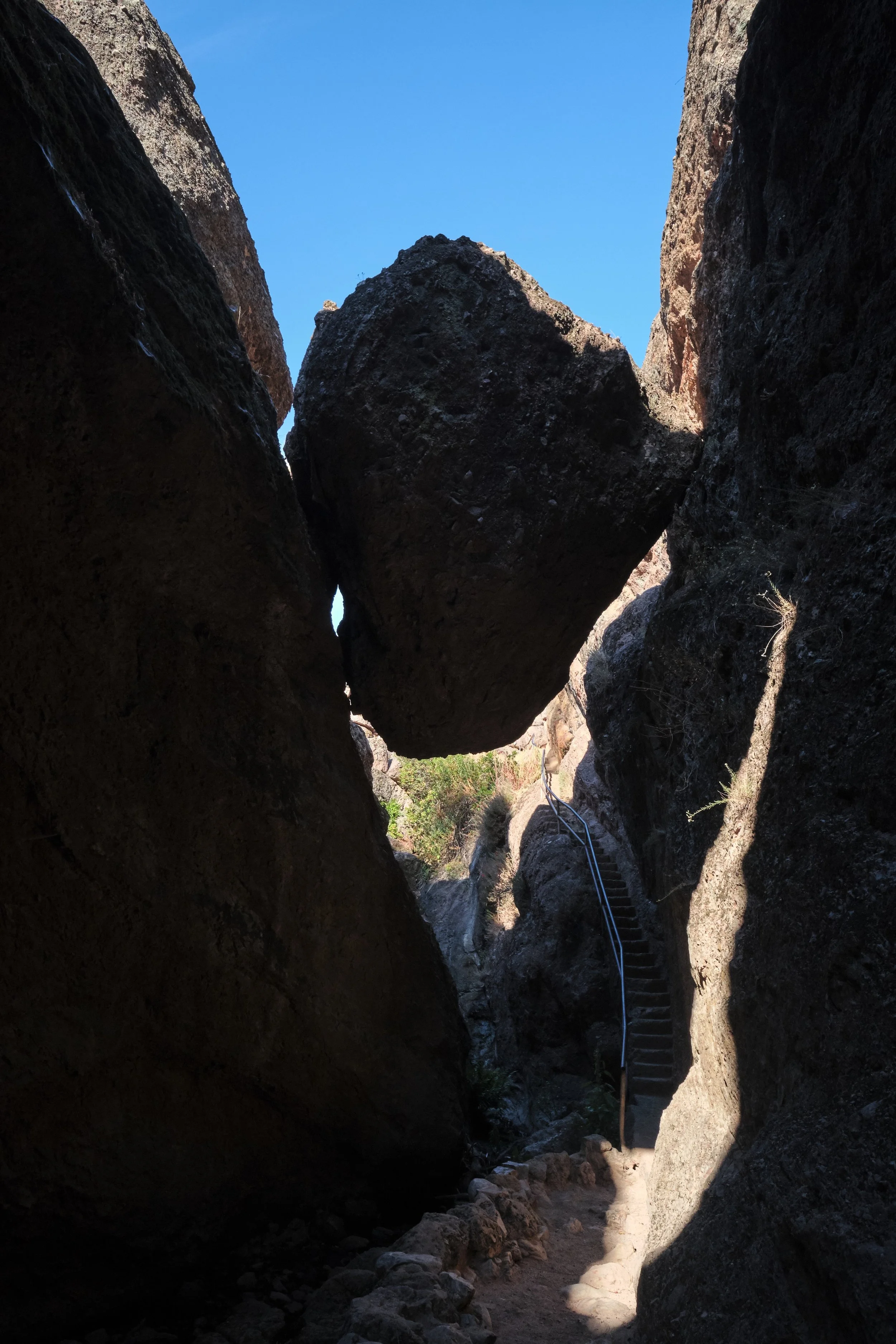DSCF5581.jpg