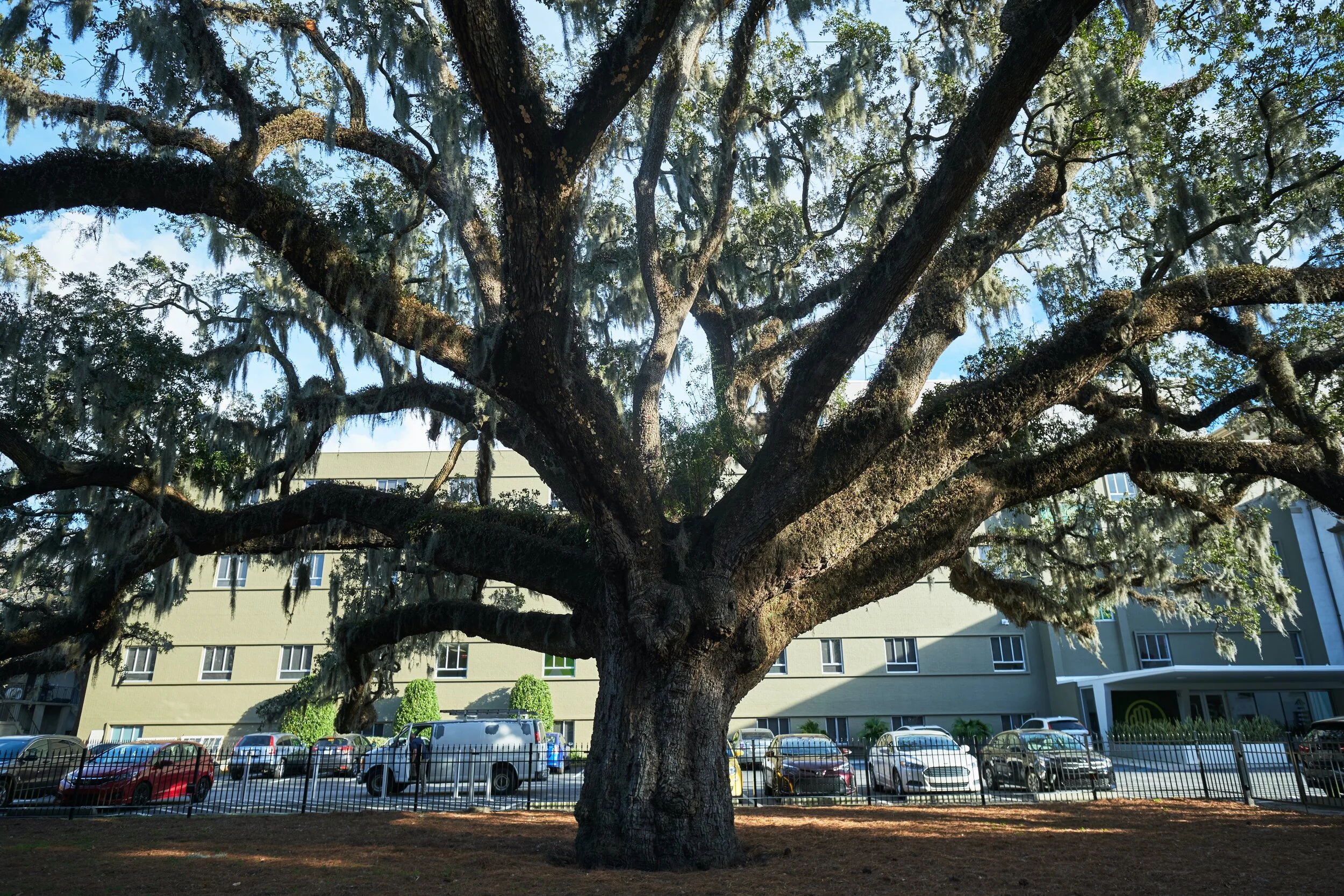 Charleston / Savannah