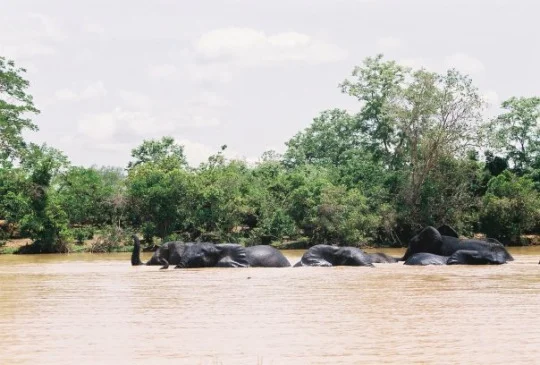 Ghana10.jpg