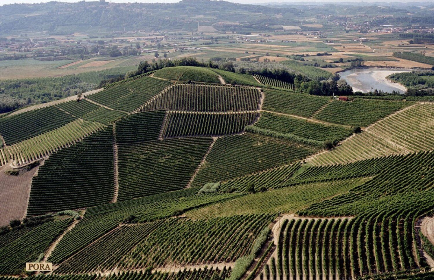web-photo-produttori-del-barbaresco-vineyards-06.jpg
