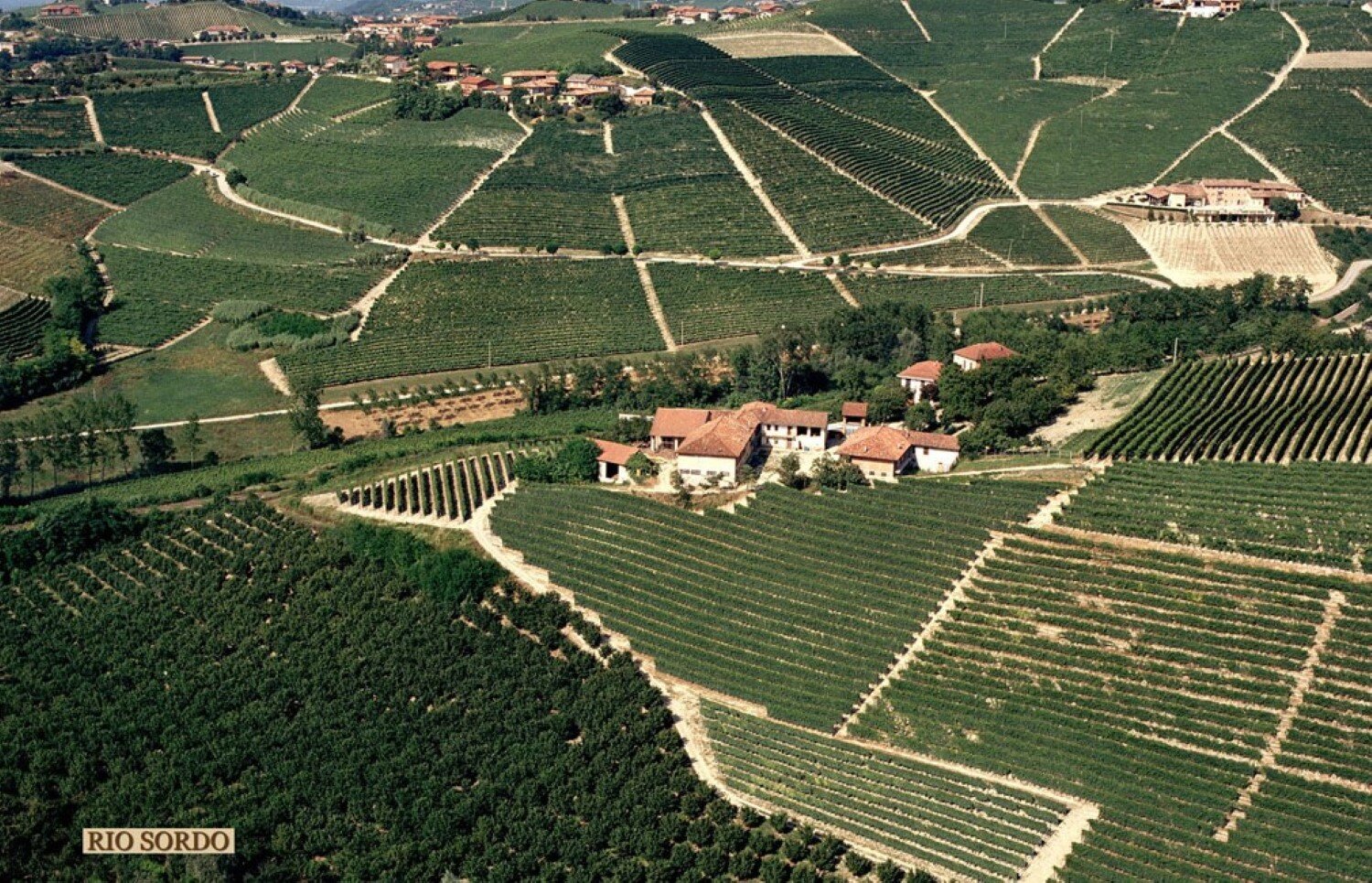 web-photo-produttori-del-barbaresco-vineyards-07.jpg