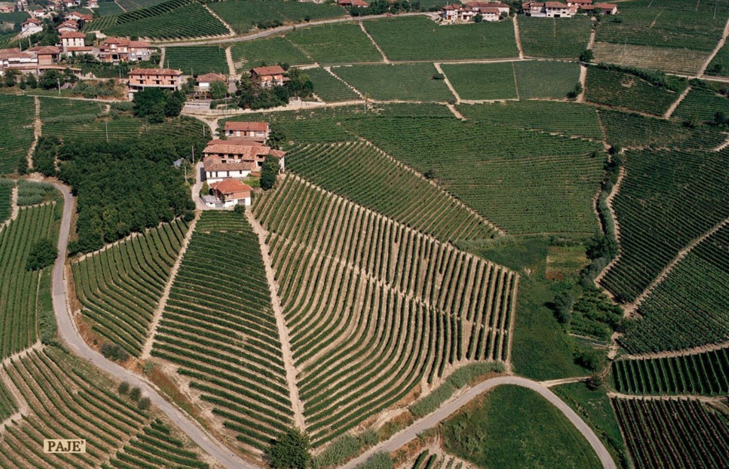 web-photo-produttori-del-barbaresco-vineyards-09.jpg