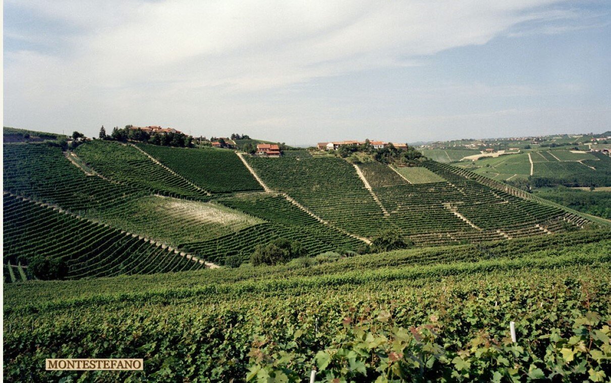 web-photo-produttori-del-barbaresco-vineyards-11.jpg