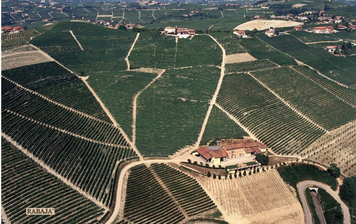 web-photo-produttori-del-barbaresco-vineyards-14.jpg