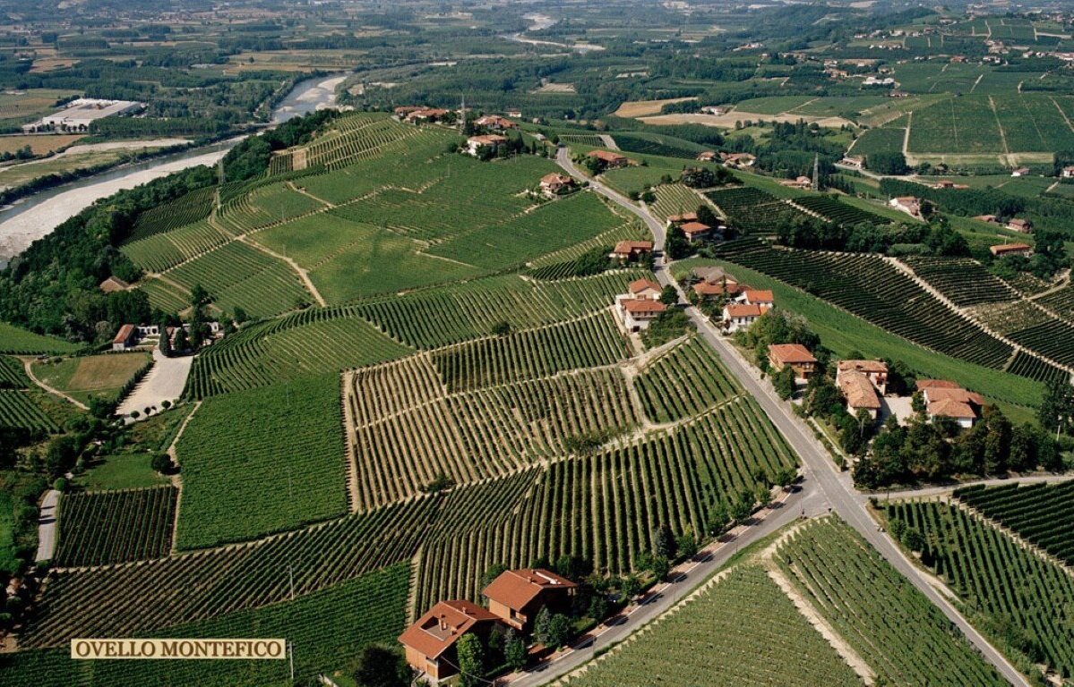 web-photo-produttori-del-barbaresco-vineyards-10.jpg