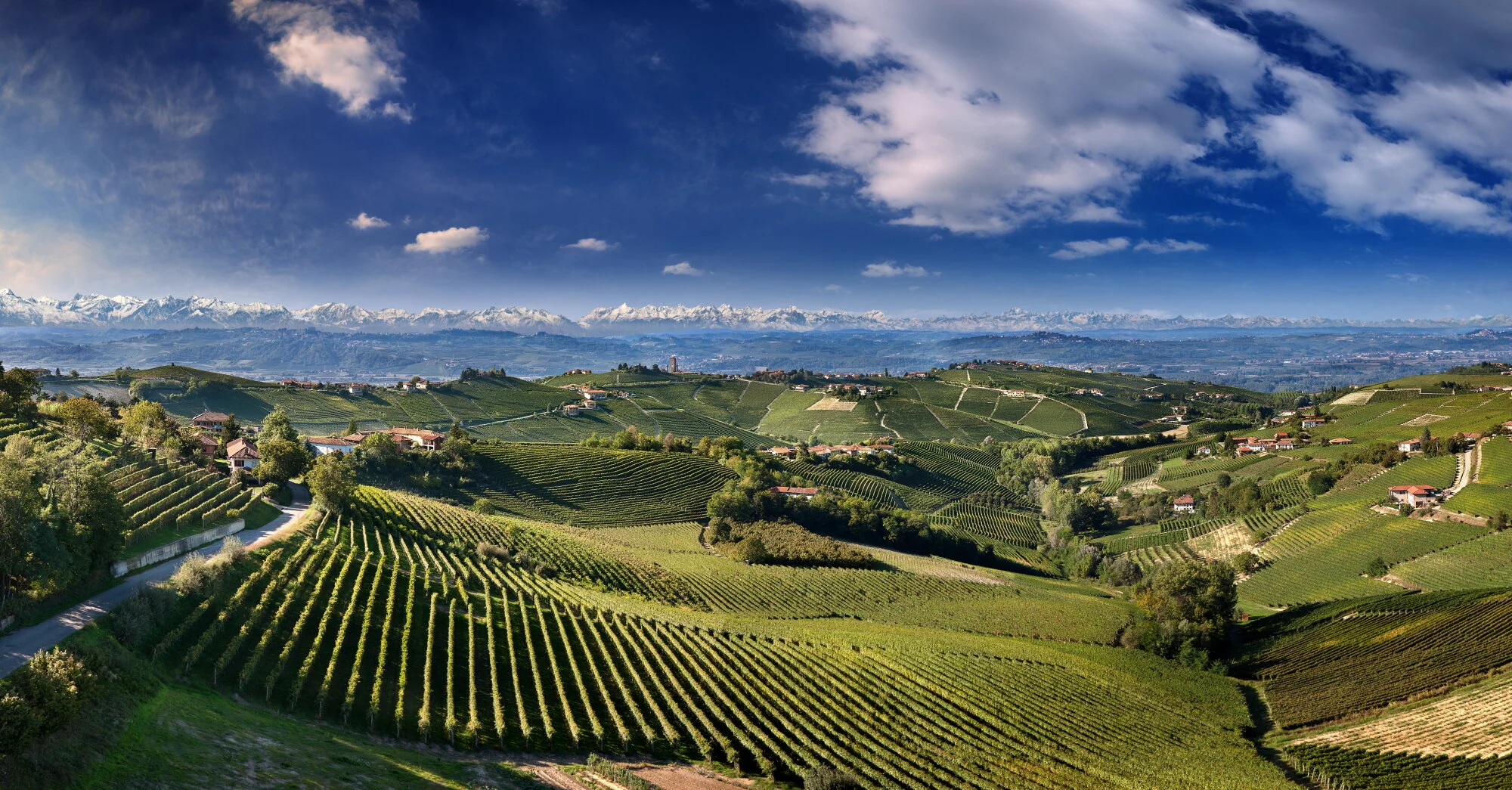 Barbaresco panoramica 2 HD-Web.jpg