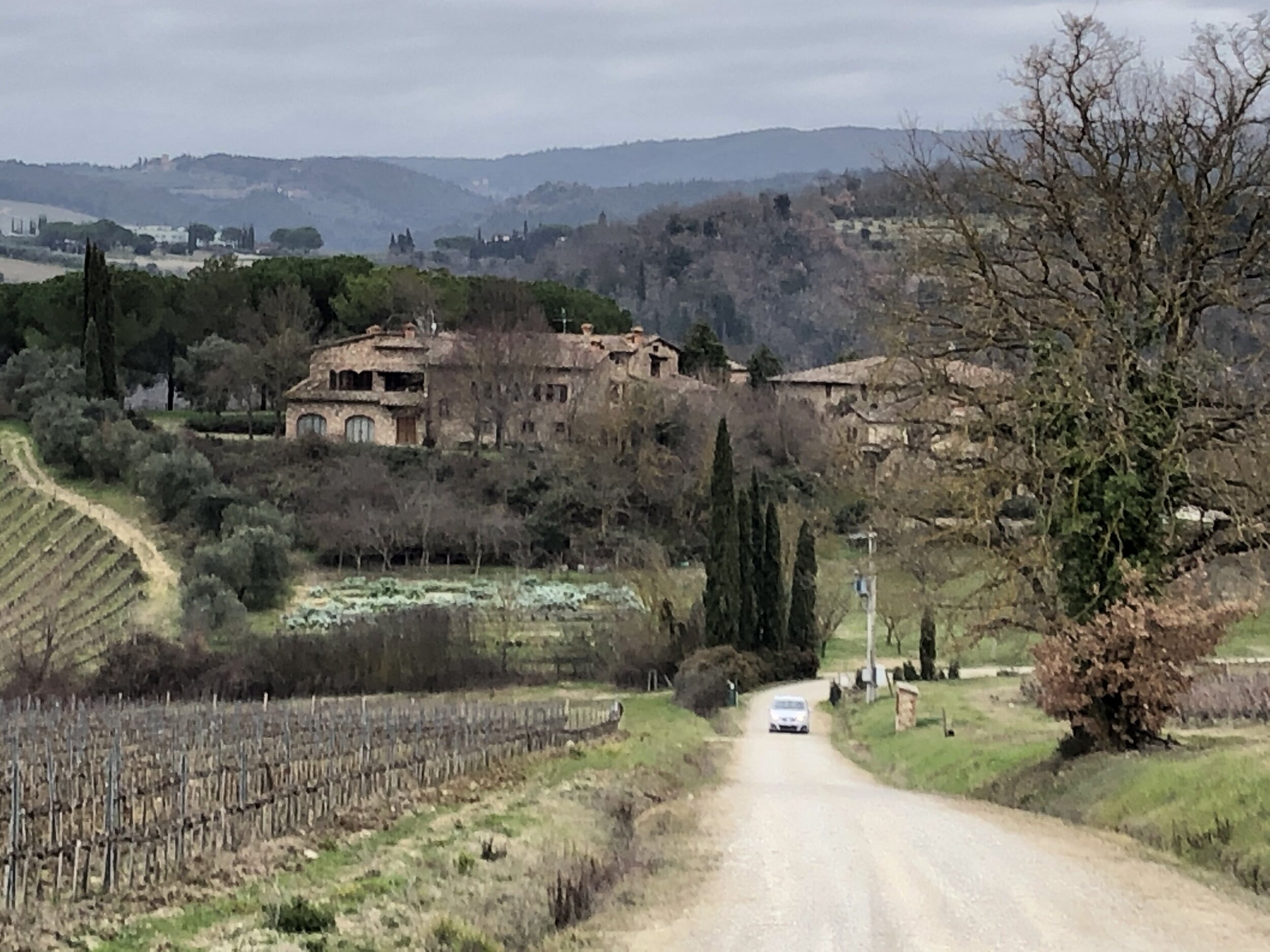 san-fabiano-winery-estate-italy-3.jpg