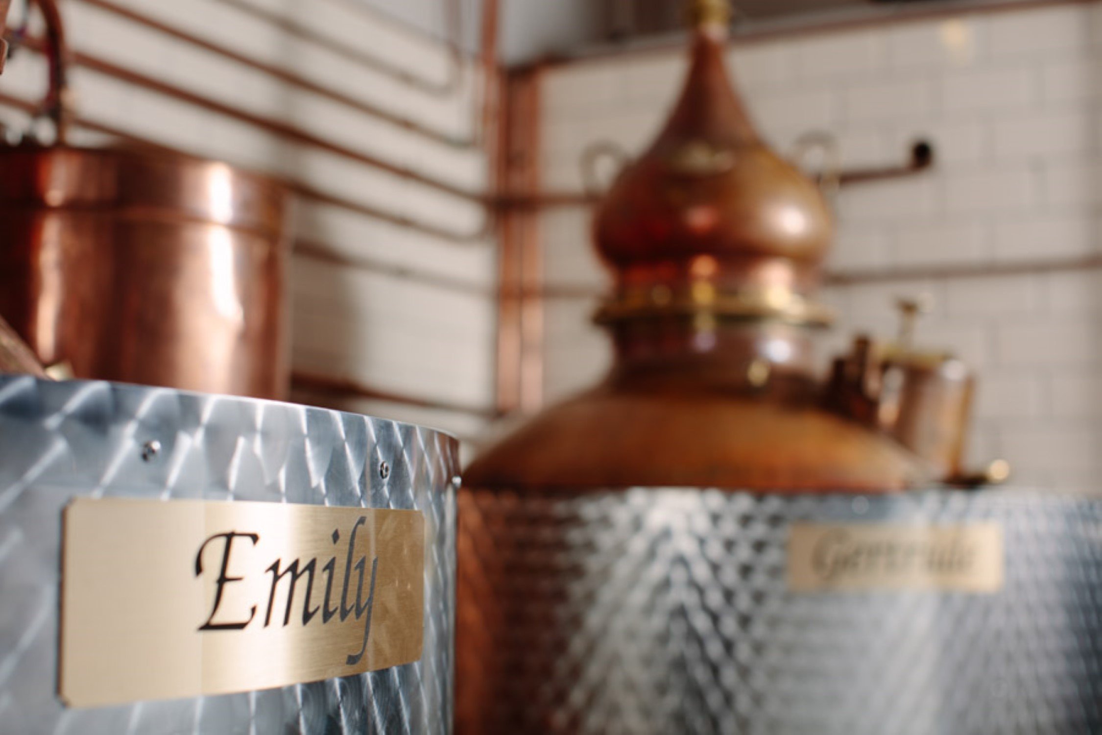 photo-summerhall-distillery-pickerings-gin-2.jpg