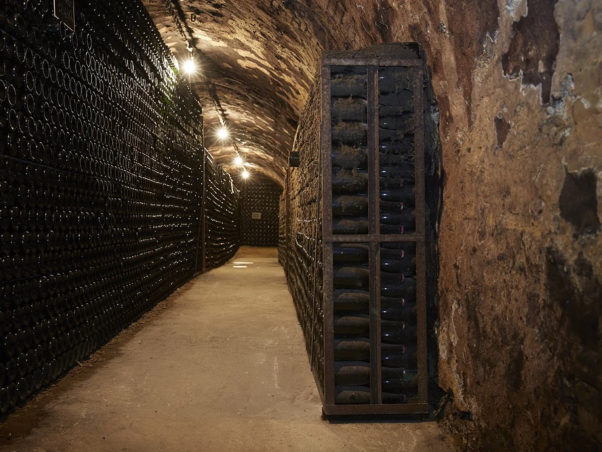photo-champagnedastree-cellar-1.jpg