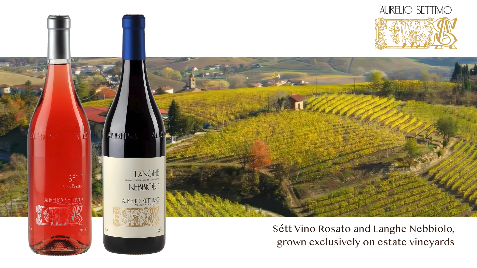 website-desktop-banner-settimo-newwines.png