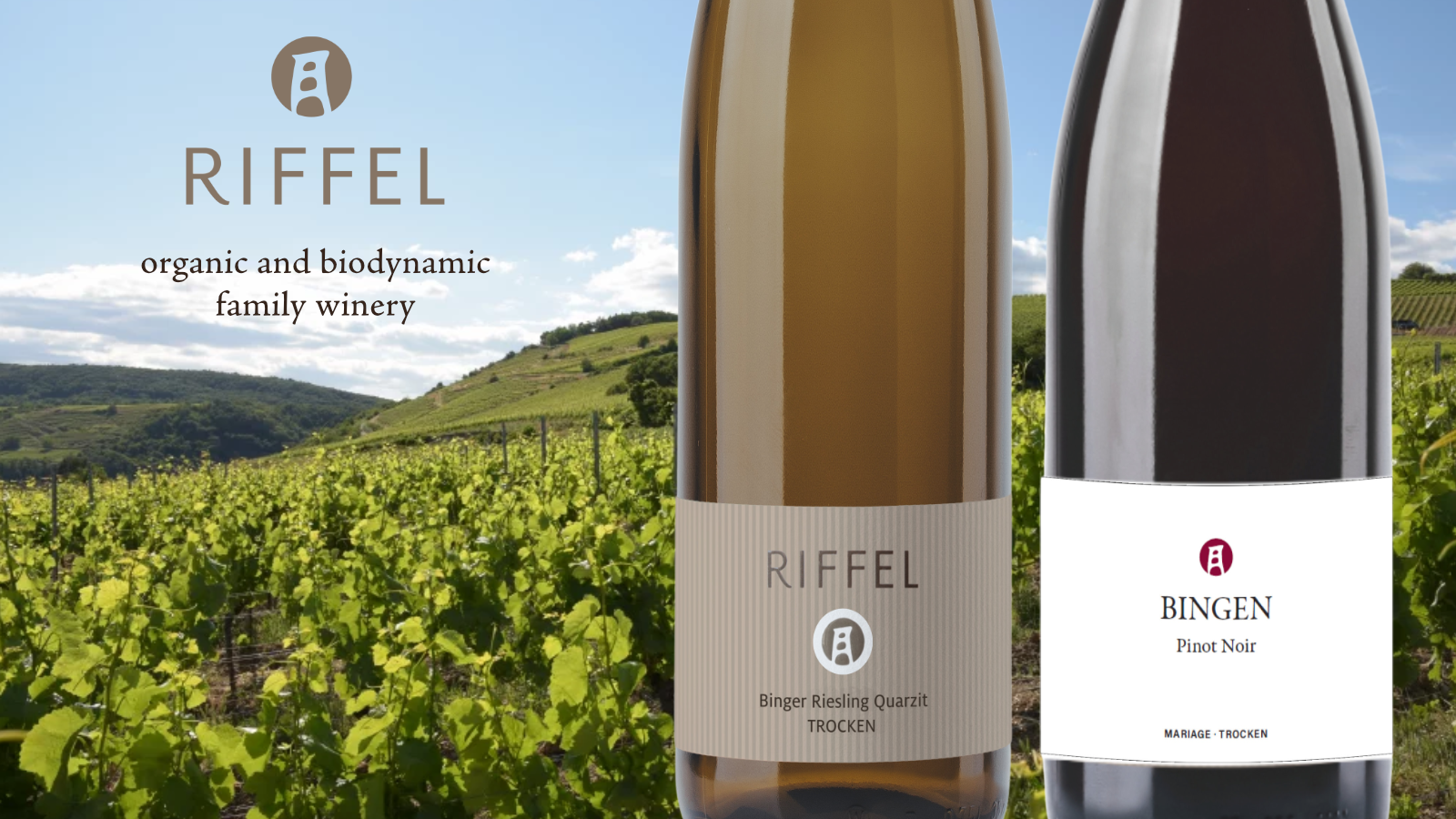website-desktop-banner-riffel.png