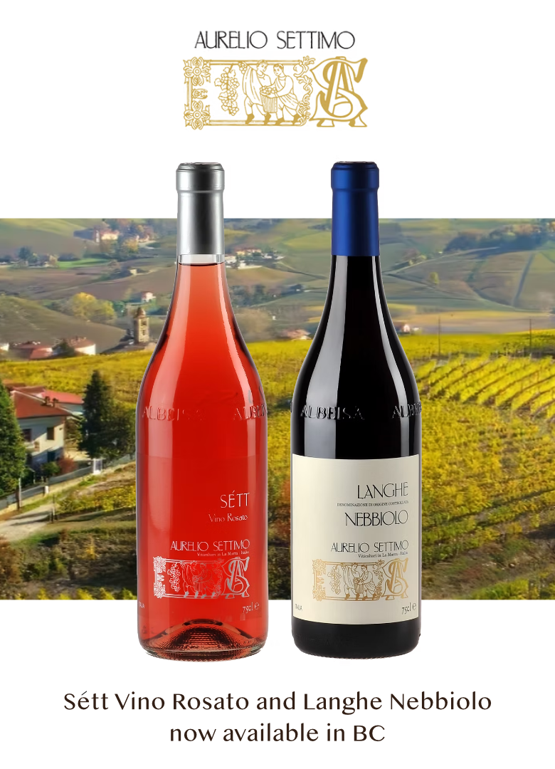 website-mobile-banner-settimo-newwines.png
