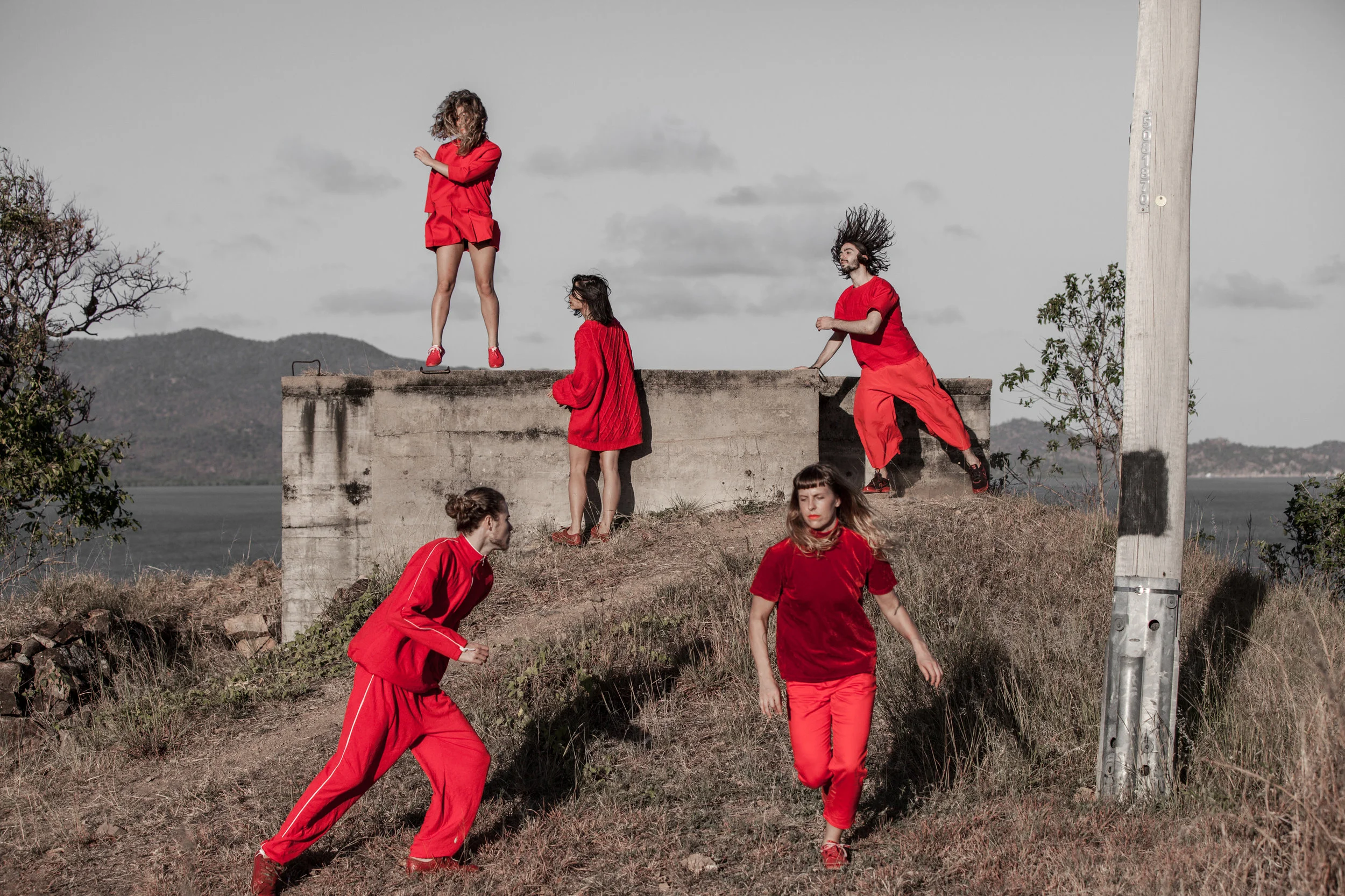 Photograph: Amber Haines