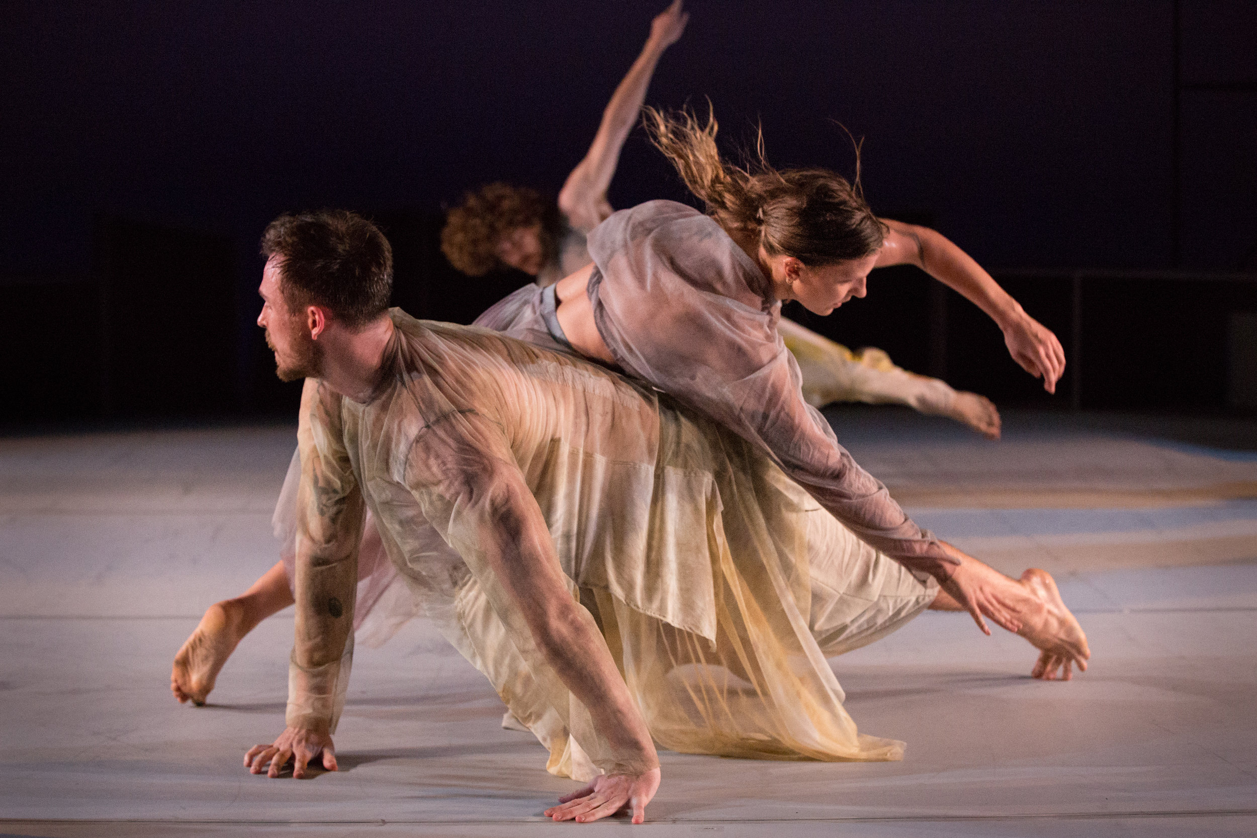 Dust by Amber Haines 20180911-20180911-MO8C0009.jpg