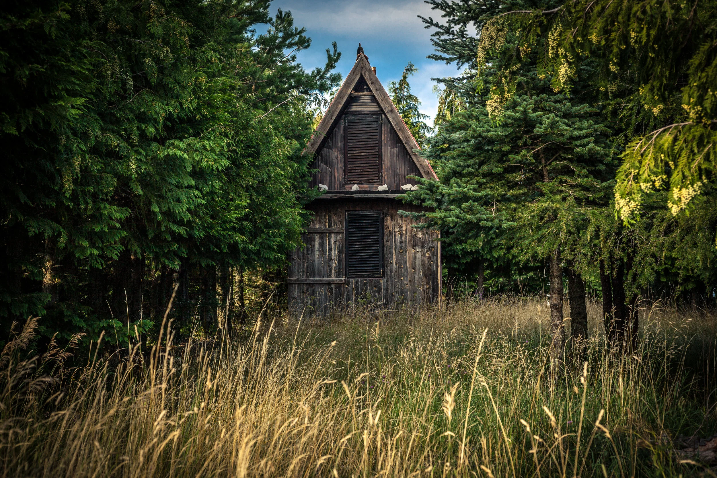 The Shack in the Woods || Part 2 | short story