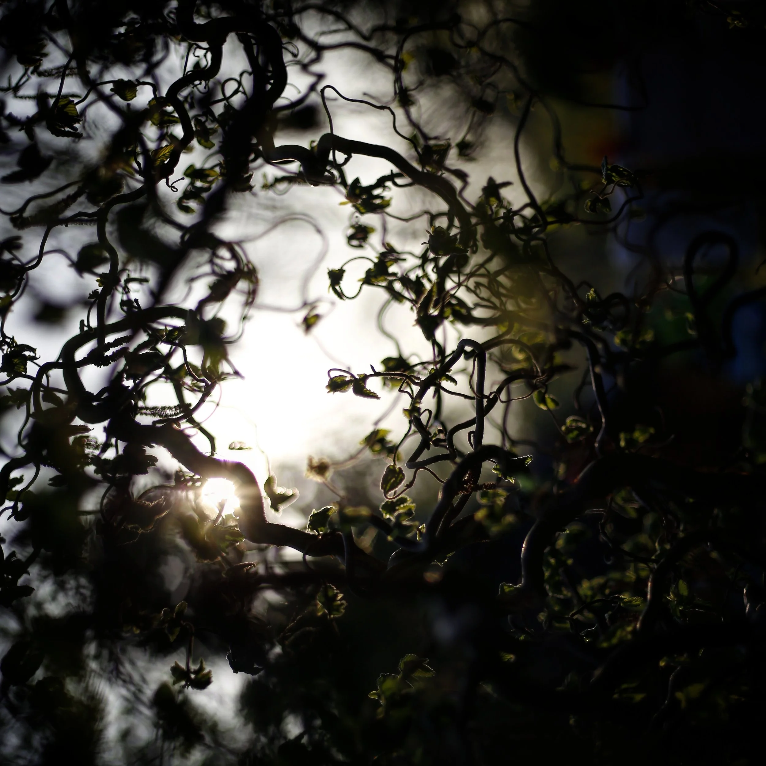 A Little Magic Can Take You a Long Way || Part 2 || short story