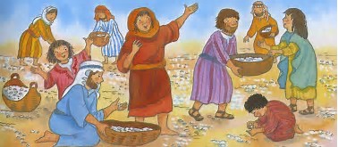 Manna and quails.jpg