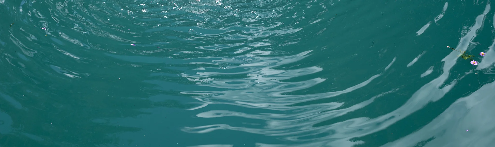 baptism water.jpg