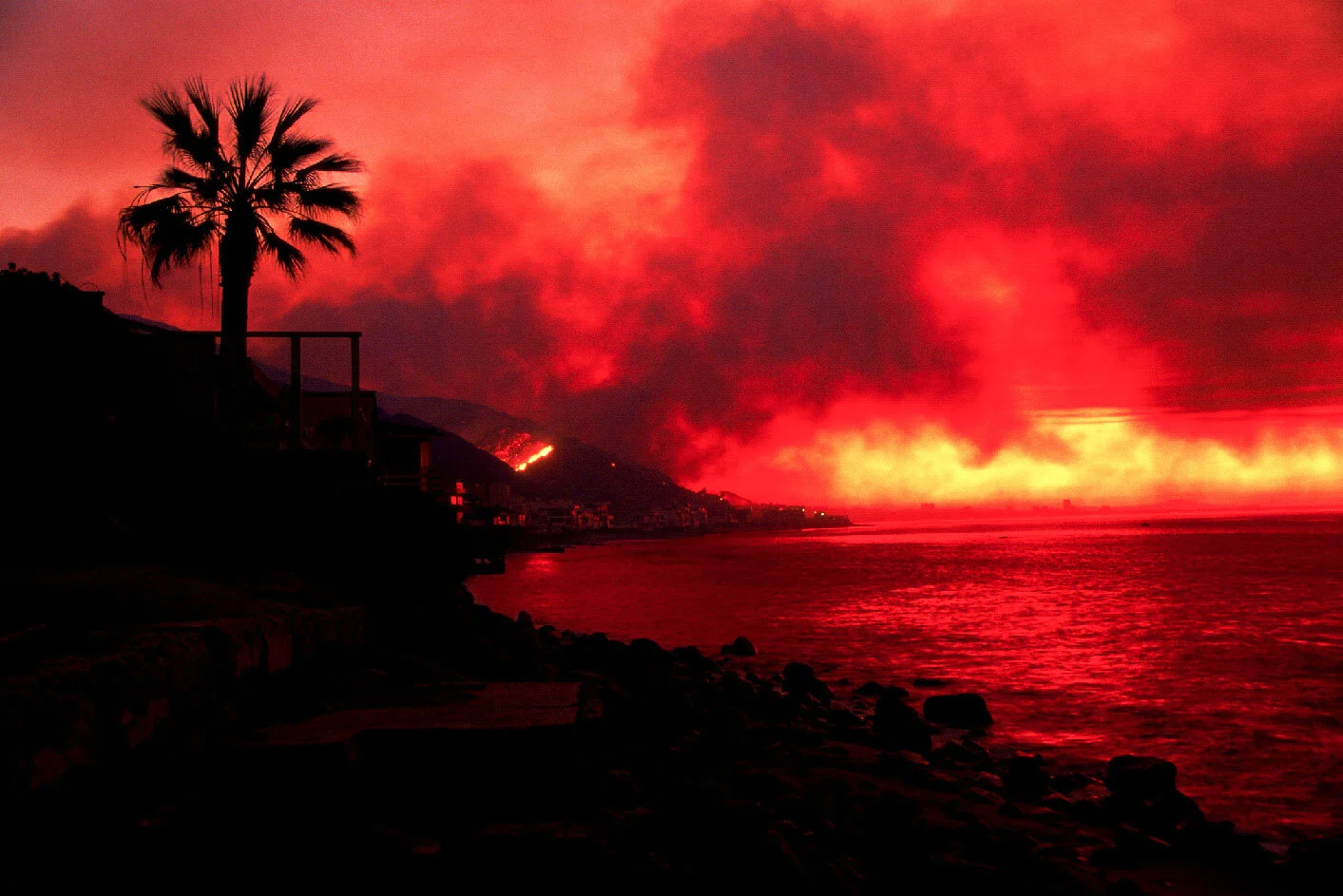 Maggie Hallahan California Disaster-16.jpg