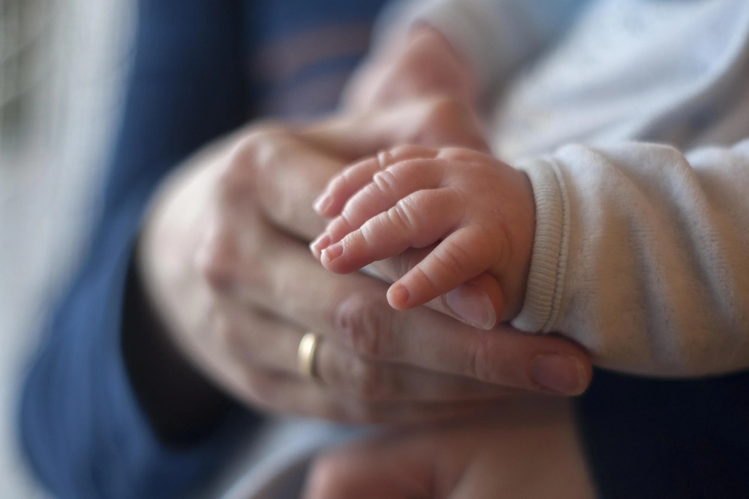 Photo Credit: http://morguefile.com/search/morguefile/4/child/pop