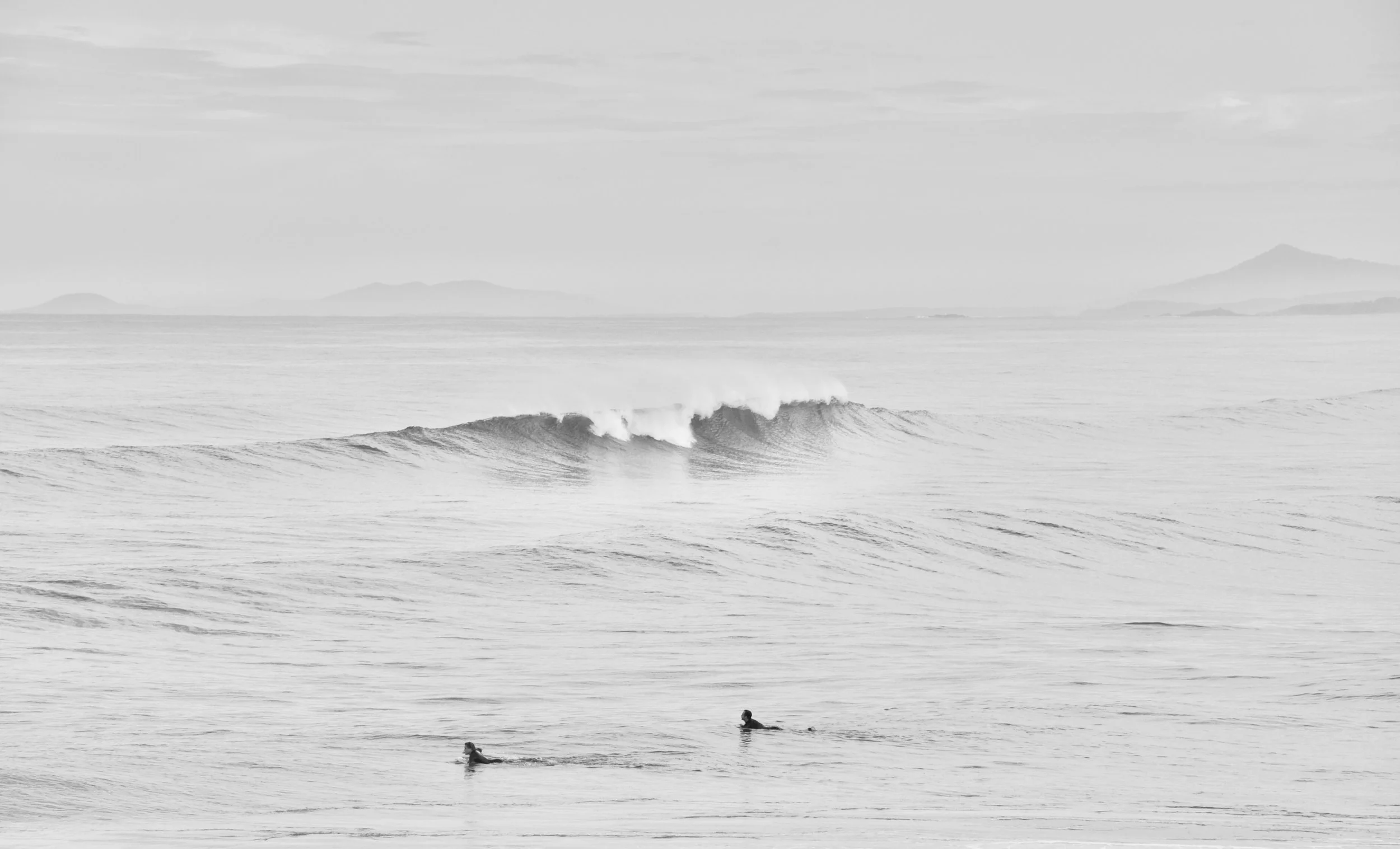 DSC_0903 2.JPG