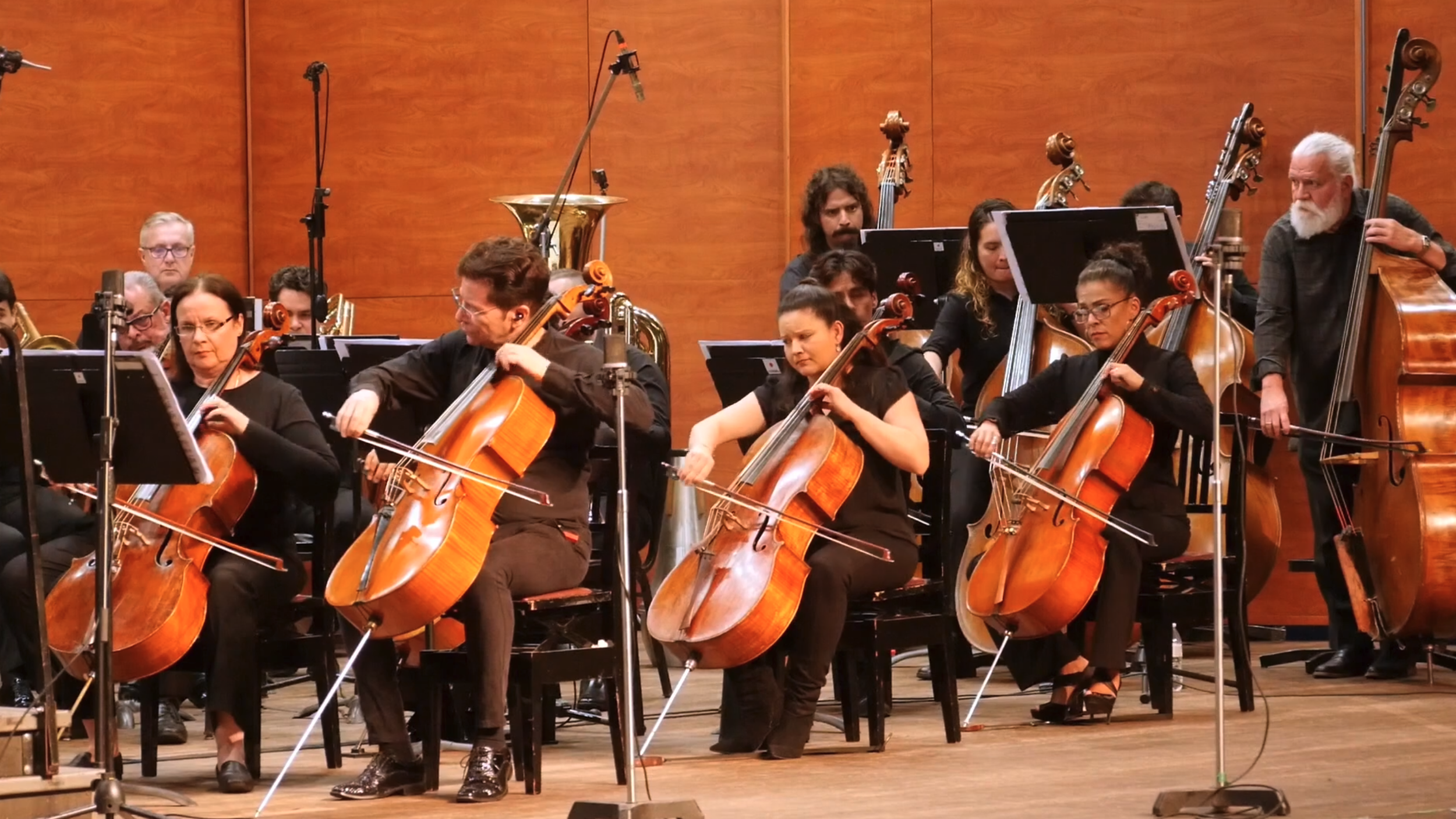 Screen Shot 2026-02-26 at 10.36.13 AM.png