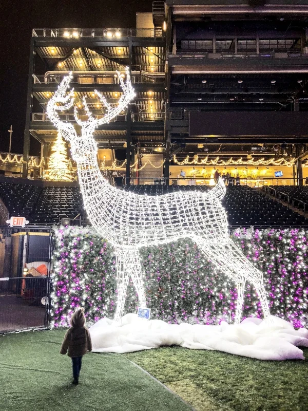 one of the reindeers on the reindeer hunt!