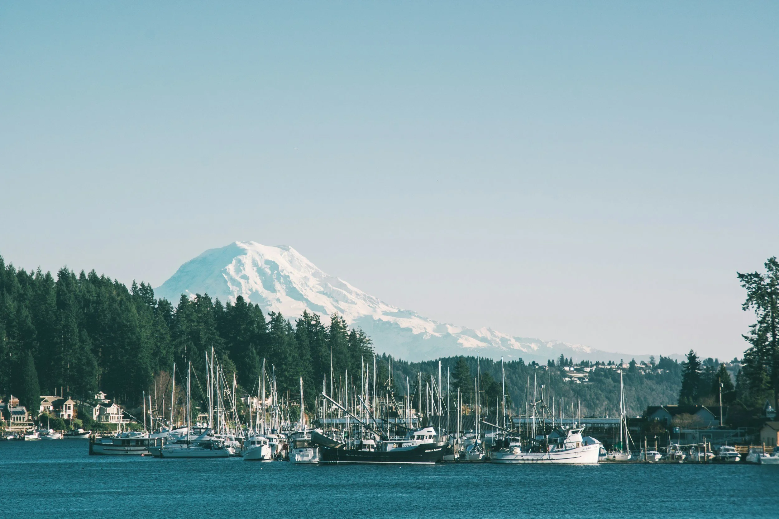 Finding Home Again: Life, Business, and Design in Gig Harbor