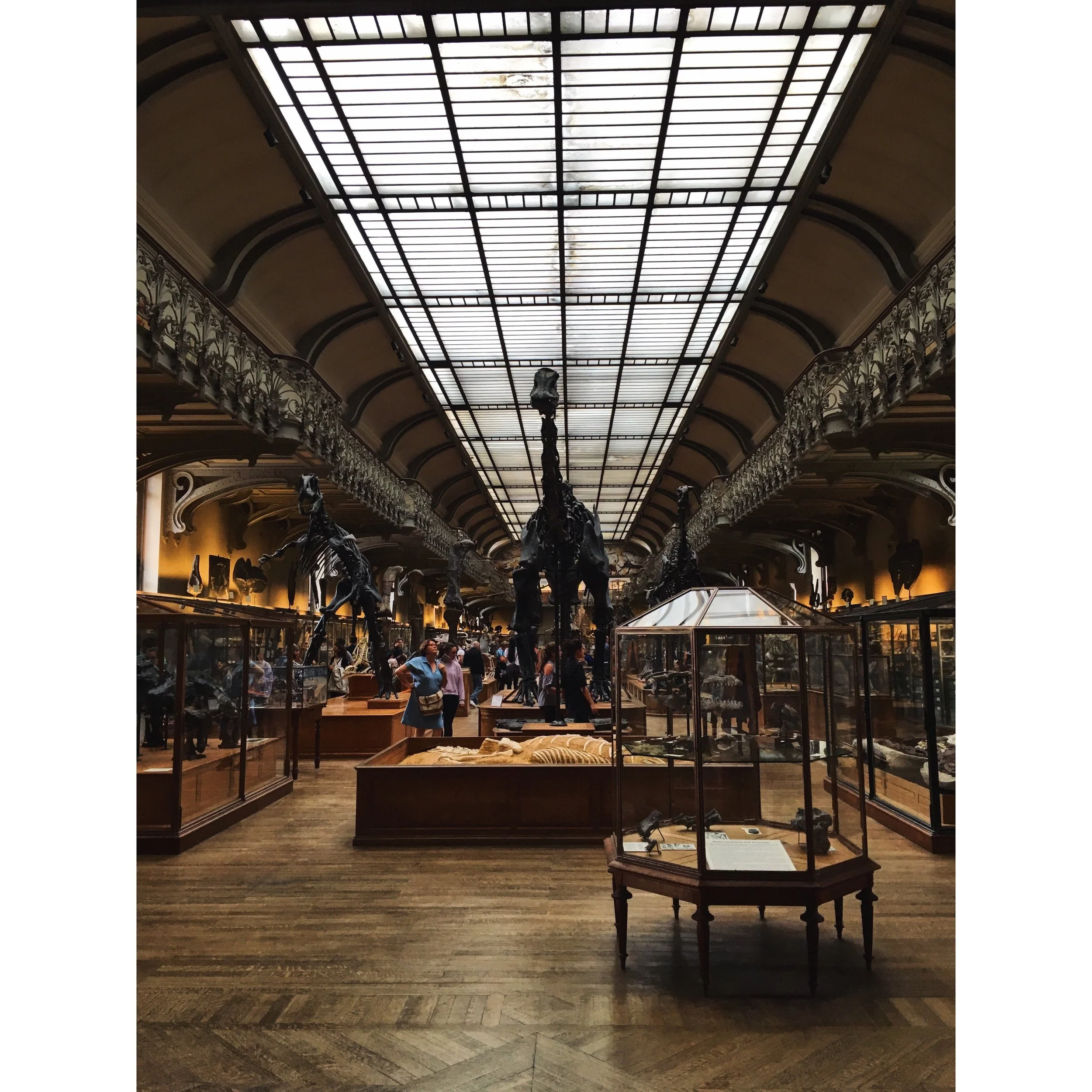 tempImageForSave (1).jpg