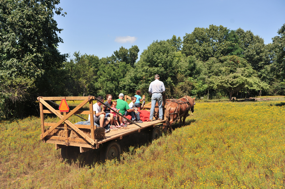 Horse Drawn Hay Ride