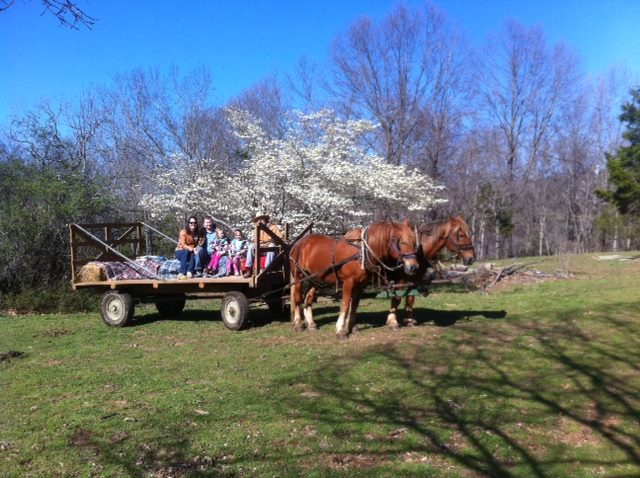 Spring Hay Ride