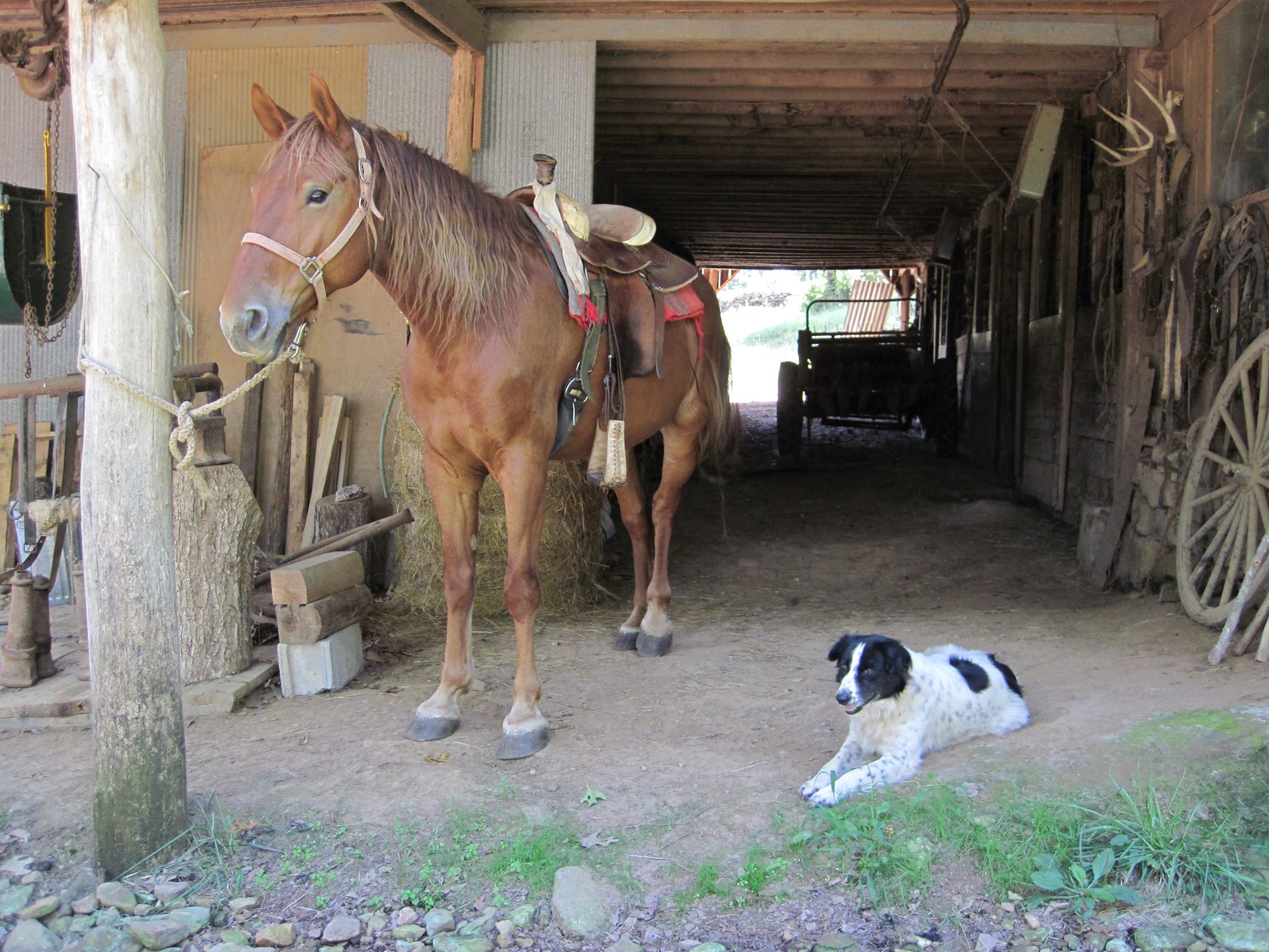 Otis and Tess