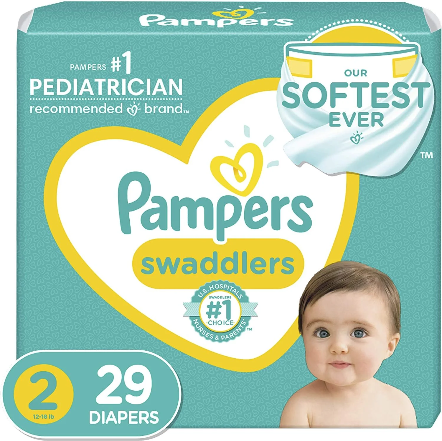 29 count pamp.jpg