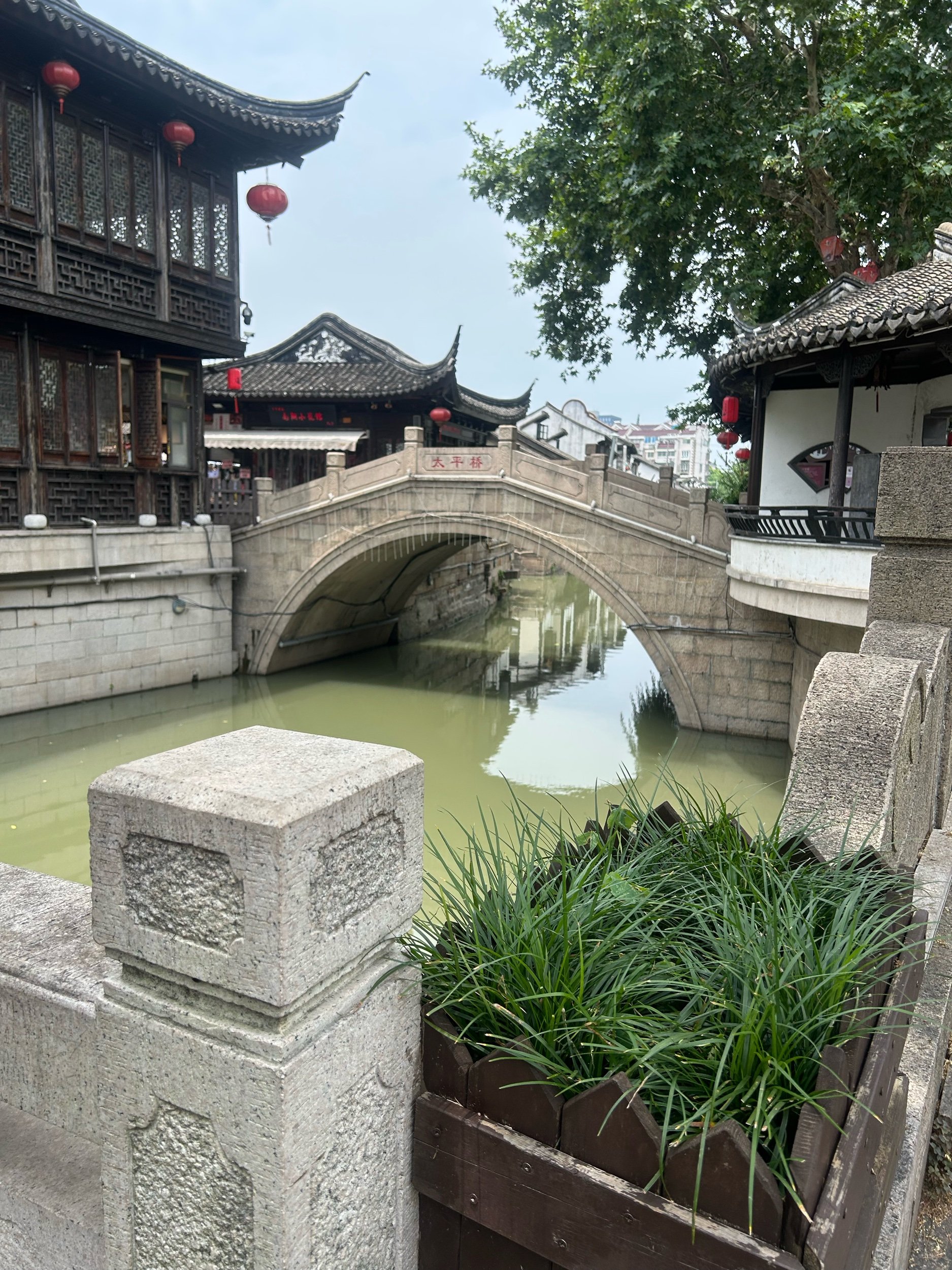 IMG_6127.jpeg