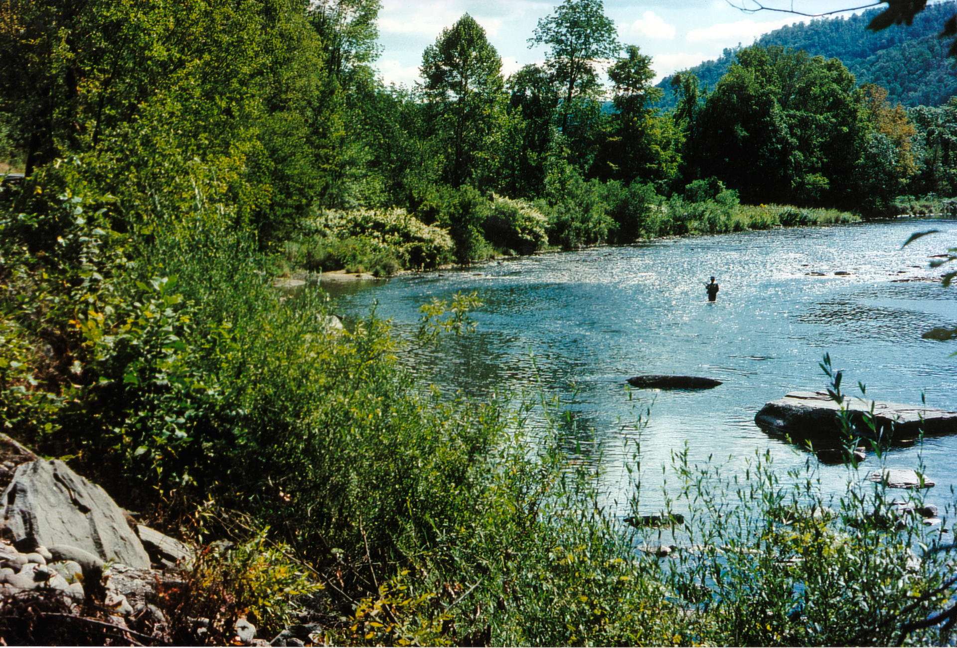 Hendrickson's Pool