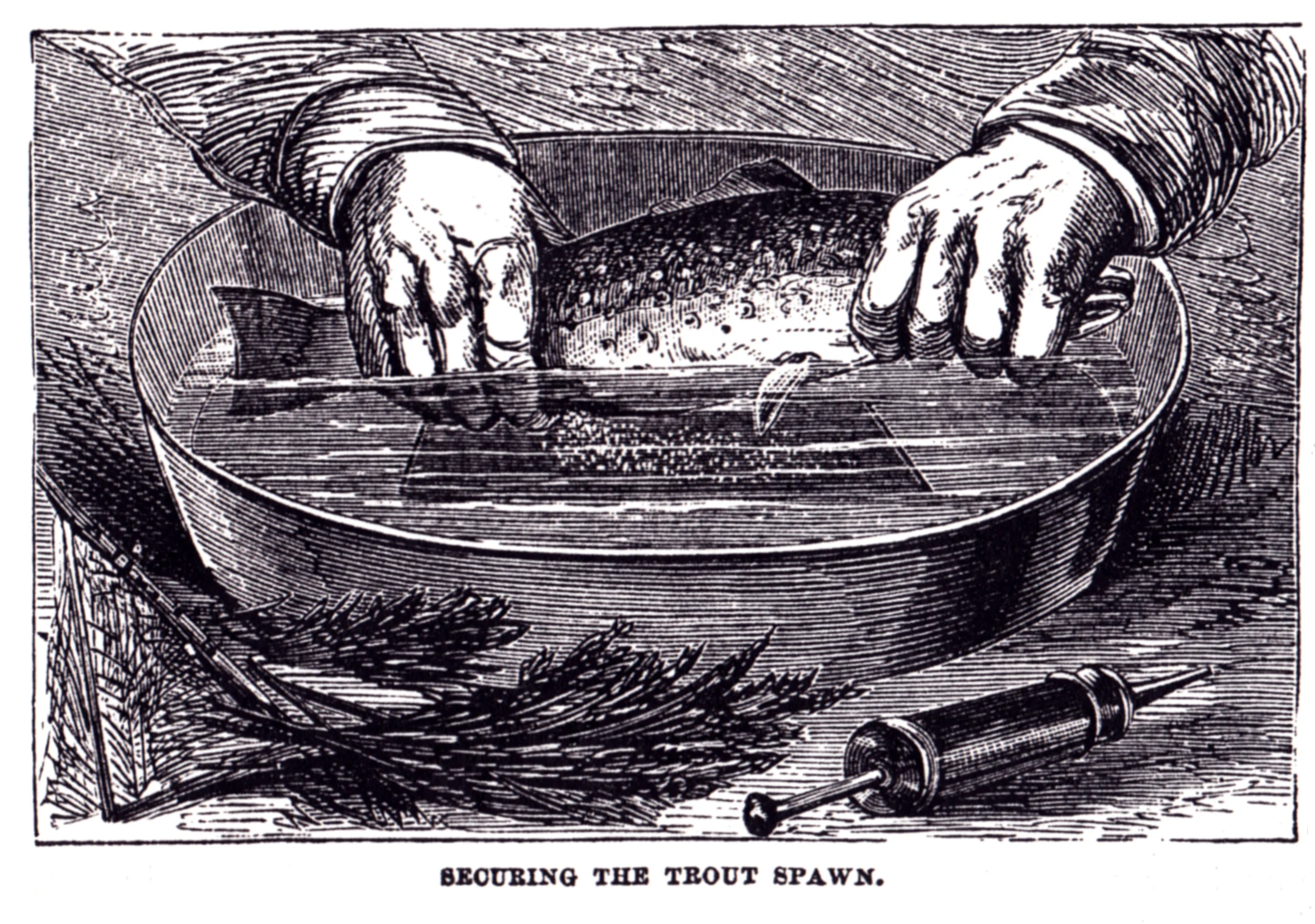Scientific American, July 1, 1868