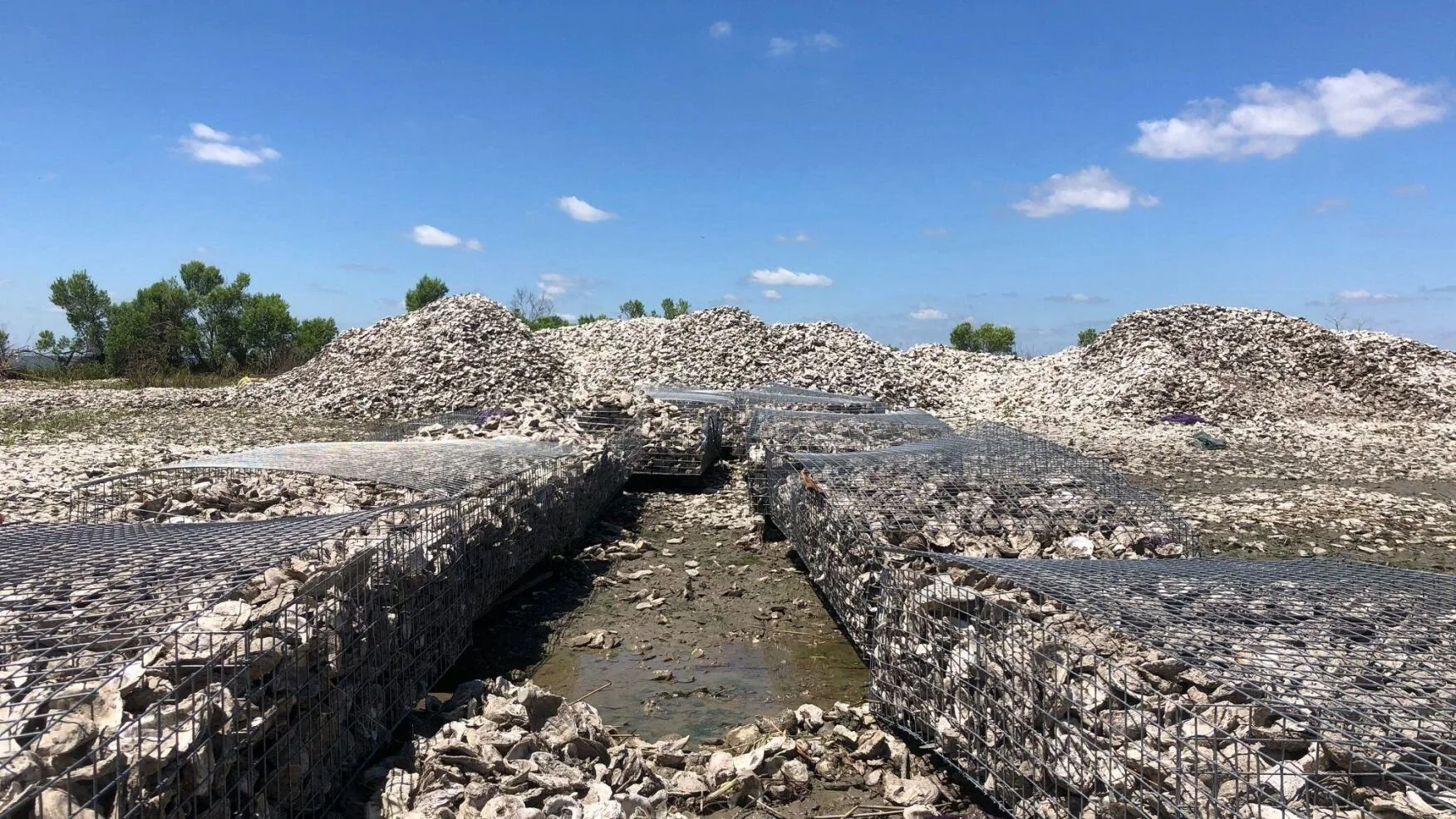 The Coalition to Restore Coastal Louisiana resumes Oyster Shell Recycling Program