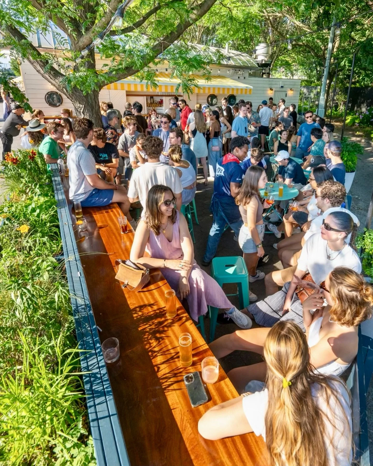 Summer Saturdays at Drift In