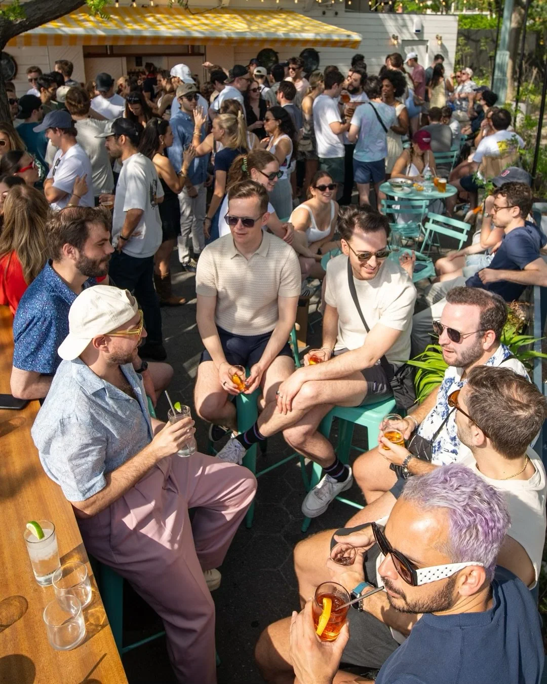 South Bar in the Sun. Don&rsquo;t walk, run.