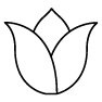 tulip.png