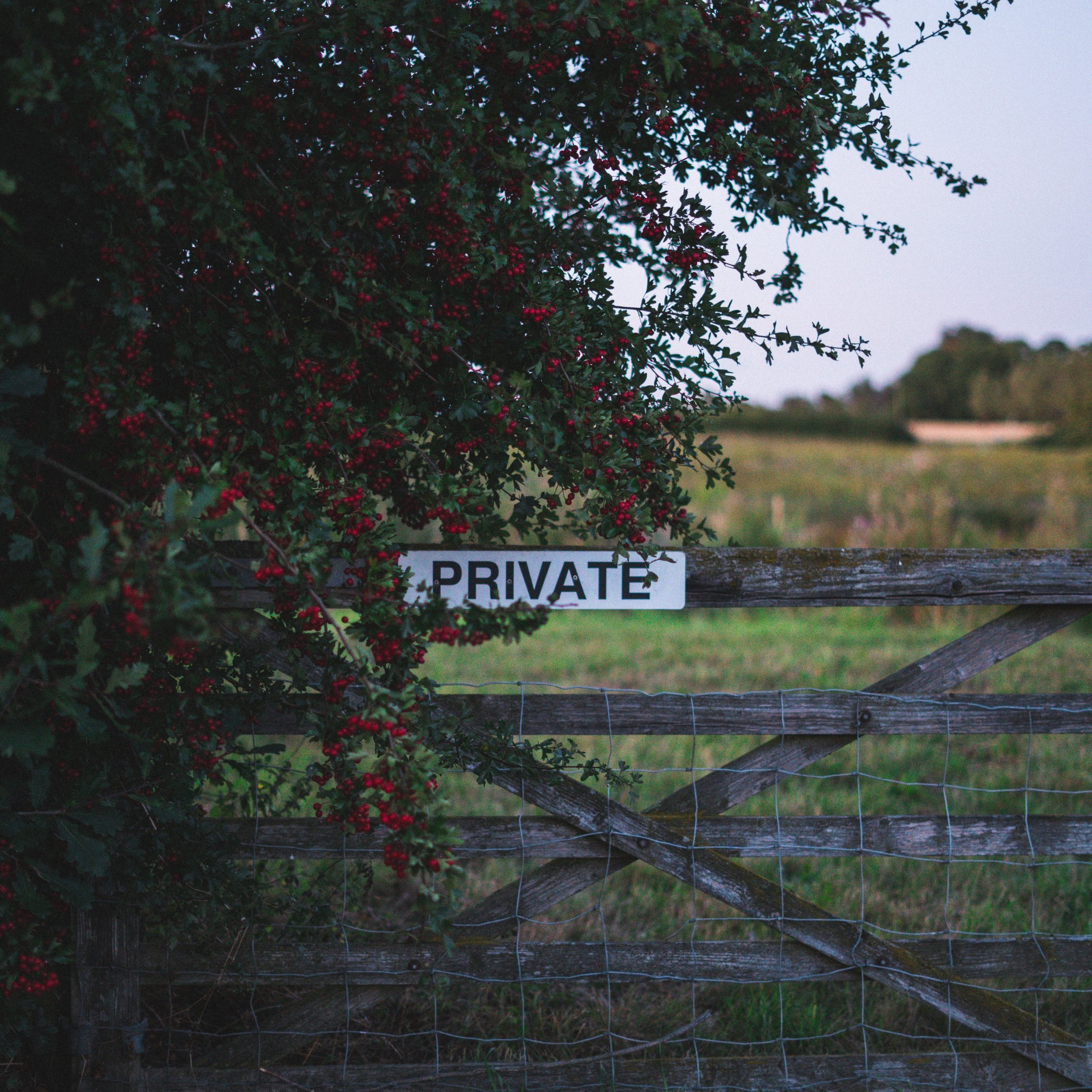 Tech Take-privates – A Rising Trend?