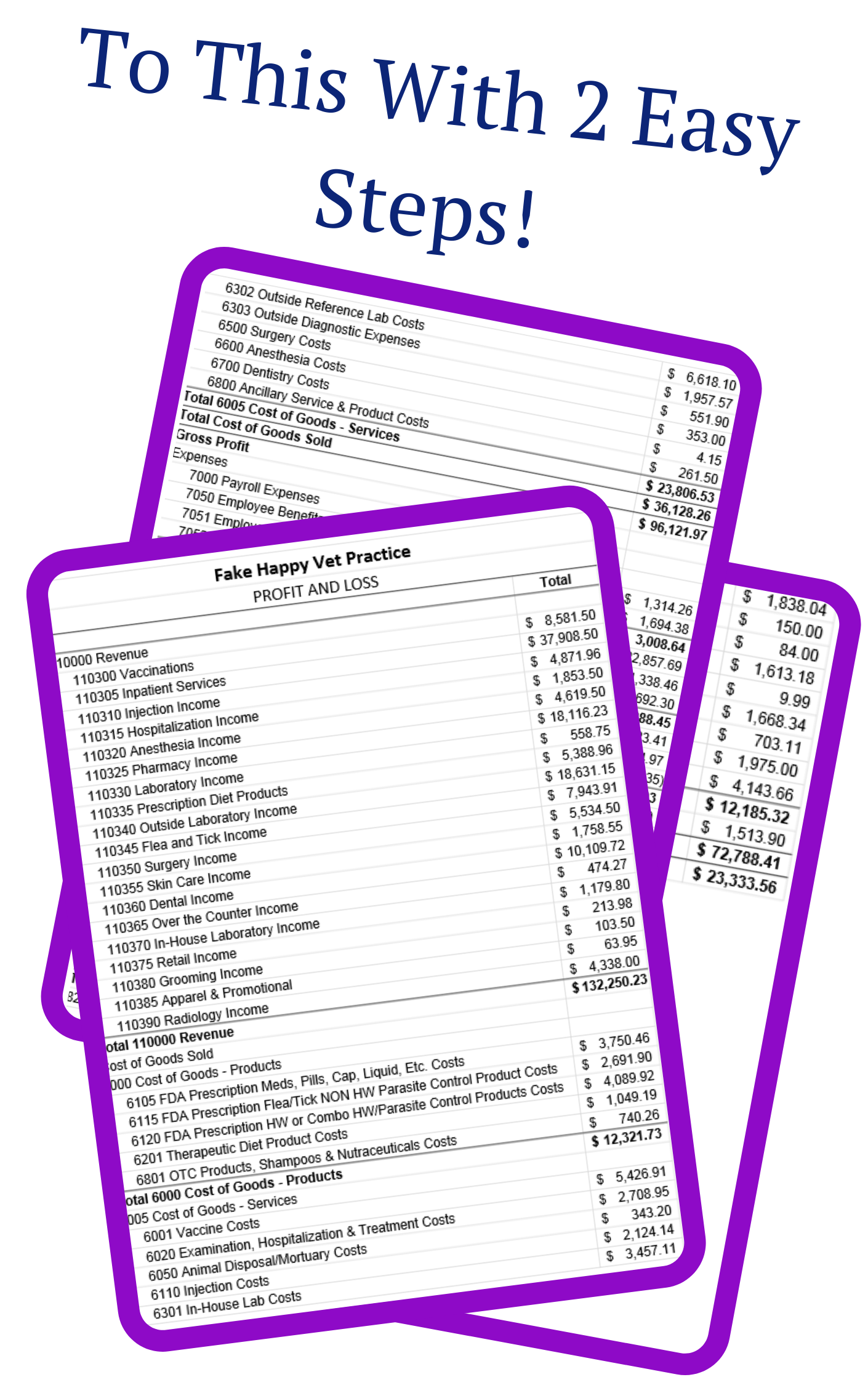 Take Your Reports From This... (6).png