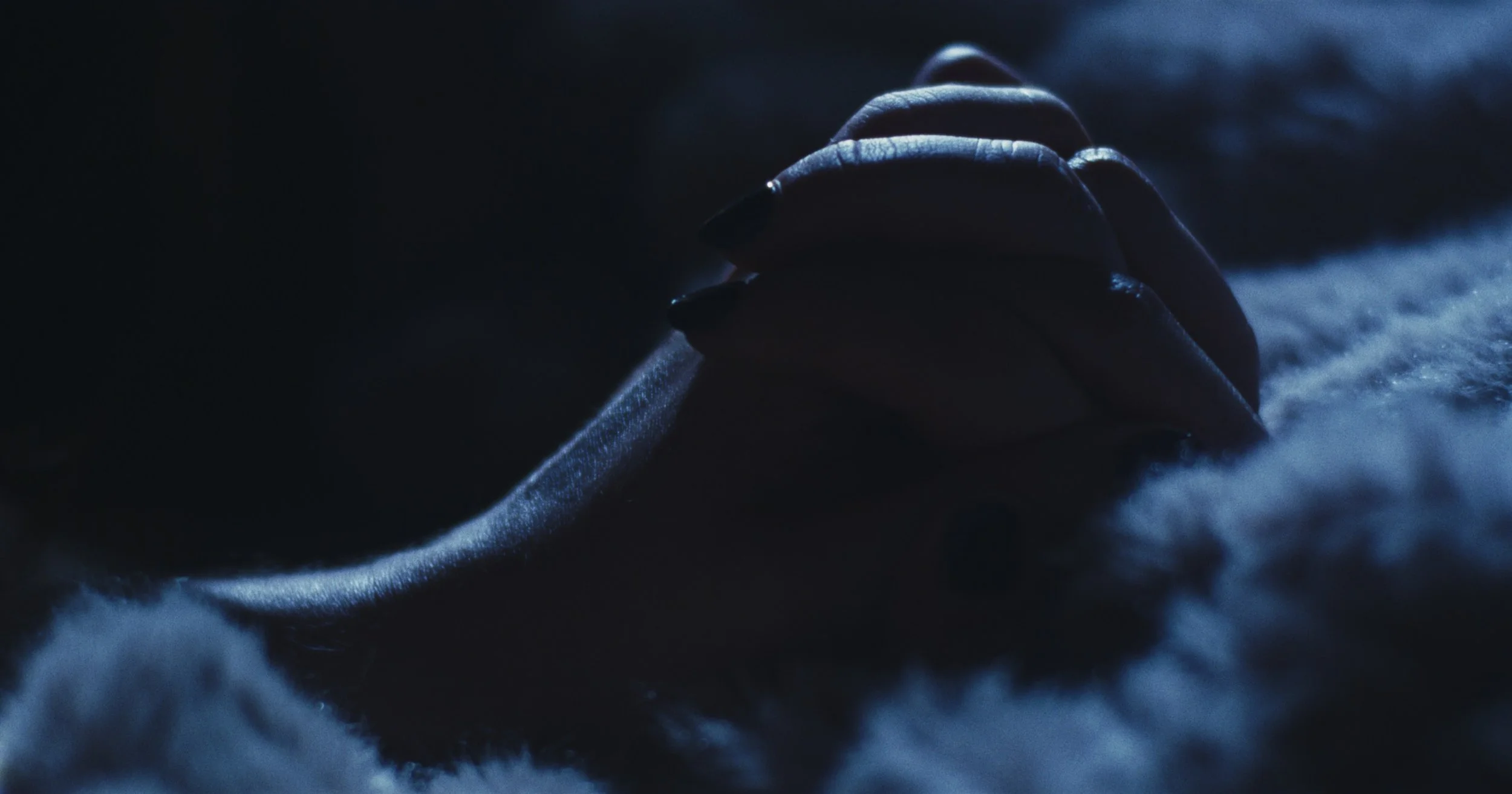 Still 2024-07-09 135351_2.380.1.jpeg