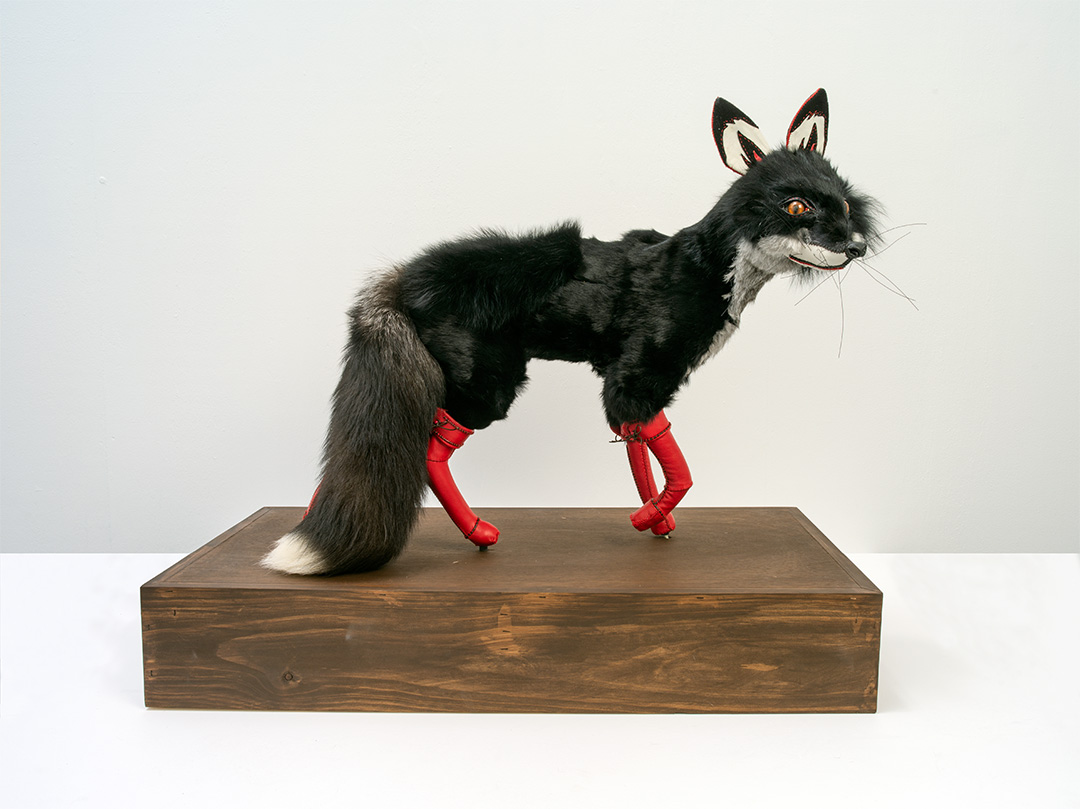 Artwork from Dark Rituals Exhibition, USC Art Gallery:&nbsp;Beata Batorowicz Black Fox with Red Leather Boots, 2018.&nbsp;Fur, leather and wood, Dimensions: 70 x 83.5 x 44 cm (With permission of the artist, Photo: Carl Warner).