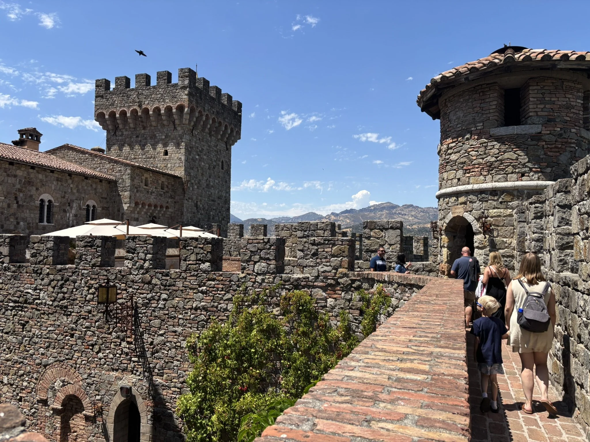 7 ca castle view.JPEG