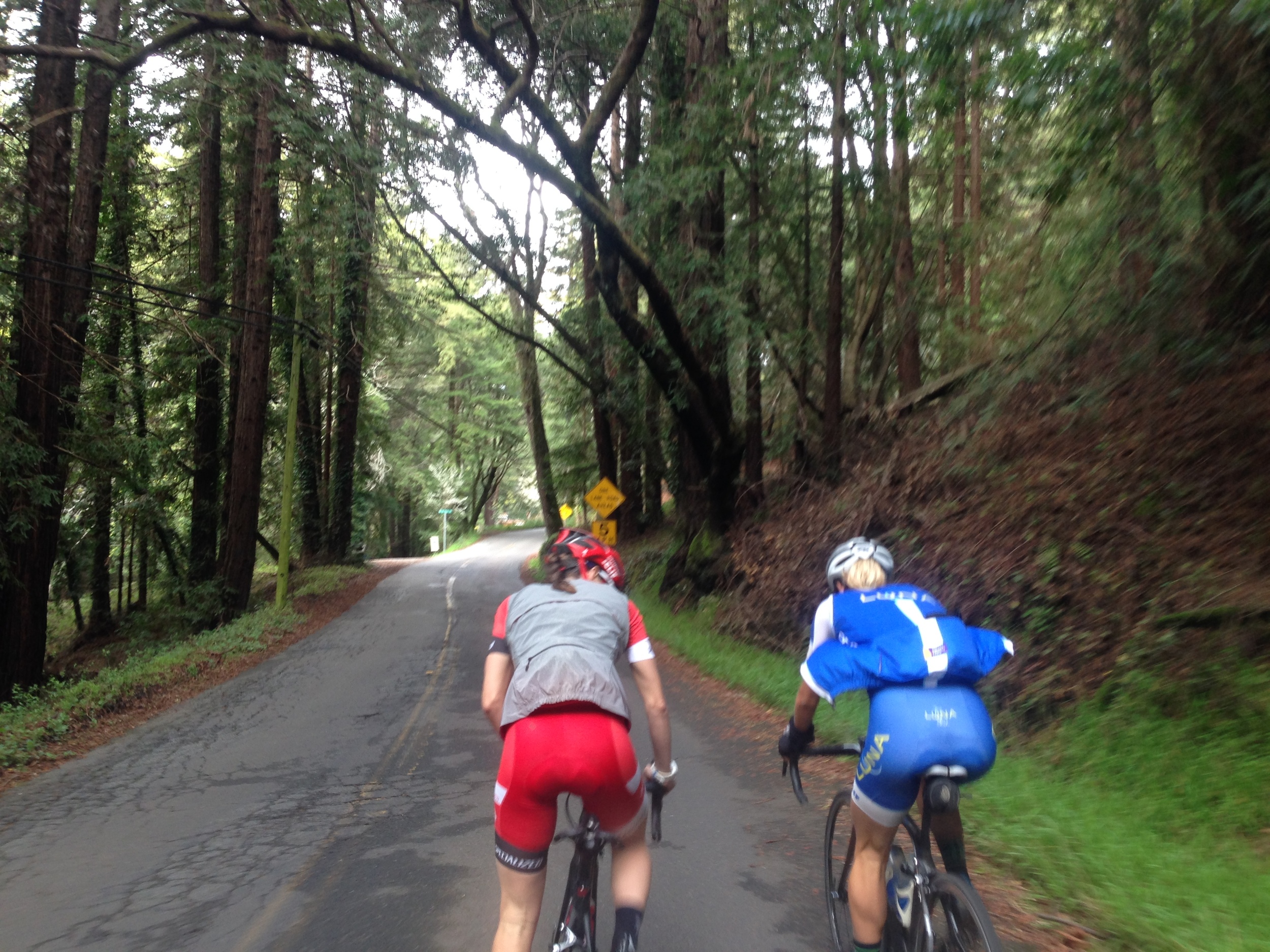 Riding with rockstars in the beautiful forests of California! 